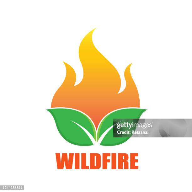 wildfire - forest fire stock illustrations