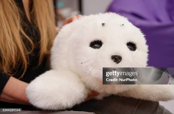 Paro, a Japanese developed robot seal used in psychological therpay is seen at the Medical University of Warsaw Psychological Clinic in Warsaw,...