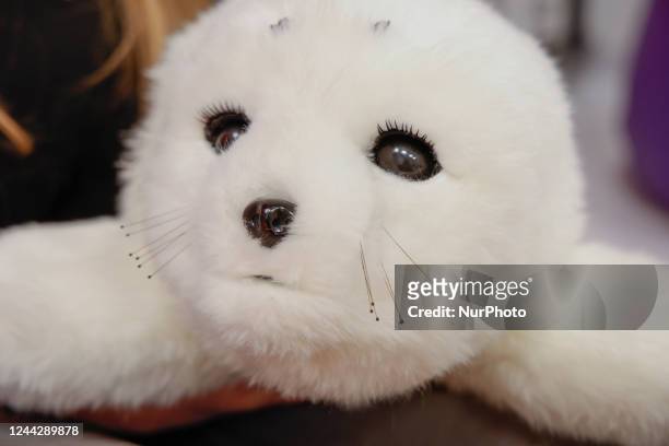 Paro, a Japanese developed robot seal used in psychological therpay is seen at the Medical University of Warsaw Psychological Clinic in Warsaw,...
