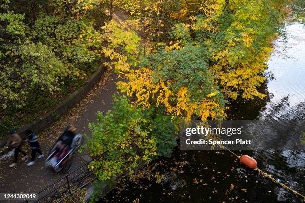 People enjoy Brooklyn's Prospect Park as trees near their peak autumn foliage on October 28, 2022 in New York City. New York's foliage, especially...