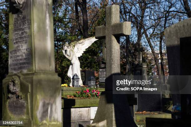 Sculpture of an angel seen among the graves at the historic Powazki Cemetery. All Saint's Day which is on the 1st of November, is a bank holiday in...