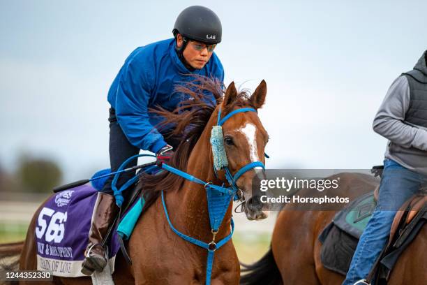 Chain of Love on track in preparation for the Breeders' Cup Filly & Mare Sprint at Keeneland Race Course on October 30, 2022 in Lexington, Kentucky.