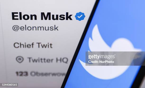 Twitter logo displayed on a phone screen and Elon Musk's Twitter account displayed on a screen are seen in this illustration photo taken in Krakow,...