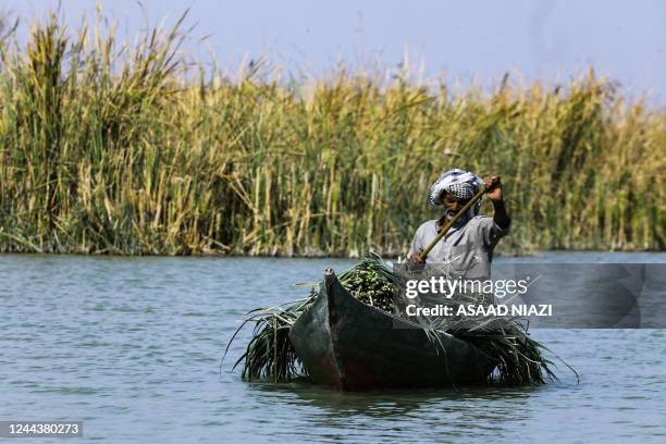 Man rows a boat loaded with stalks along a stream shooting off the Euphrates river in the marshes of Chibayish in Iraq's southern Dhi Qar province on...