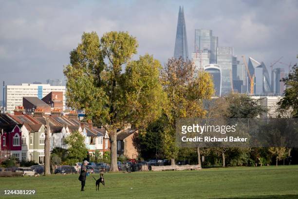 In Lambeth's Ruskin Park, a pet dog leaps into the air for its owner in front of a background of a cityscape of the capital that includes high-rise...