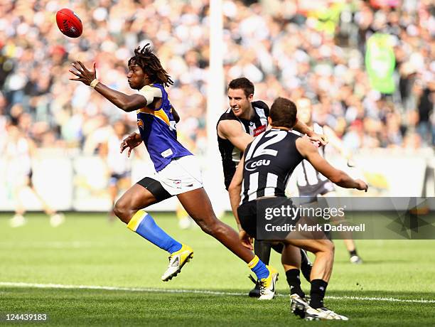 Nick Naitanui of the Eagles gathers the ball during the AFL First Qualifying match between the Collingwood Magpies and the West Coast Eagles at...