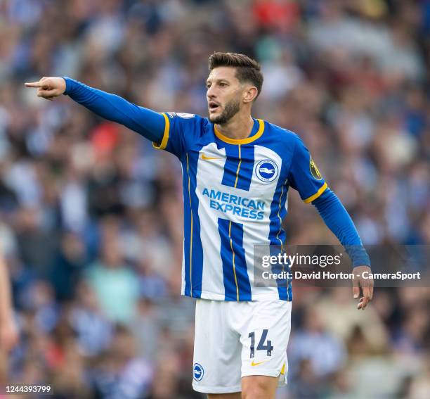 Brighton & Hove Albion's Adam Lallana during the Premier League match between Brighton & Hove Albion and Chelsea FC at American Express Community...