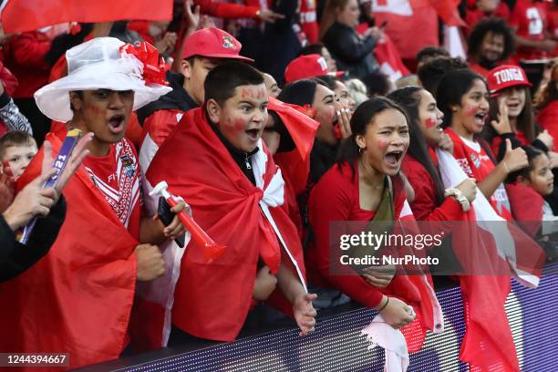 Tonga's fans celebrate after the 2021 Rugby League World Cup Pool D match between Tonga and Cook Islands at the Riverside Stadium, Middlesbrough on...