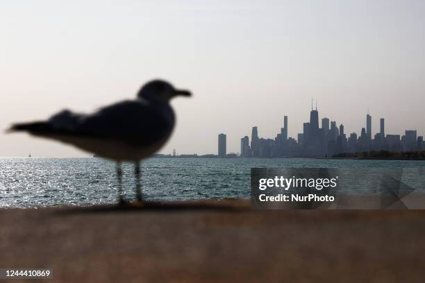 View of Lake Michigan and the city skyline in Chicago, United States on October 14, 2022.