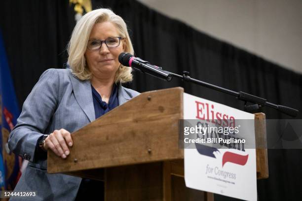 Rep. Liz Cheney campaigns with Democratic Rep. Elissa Slotkin at an Evening for Patriotism and Bipartisanship event on November 1, 2022 in East...