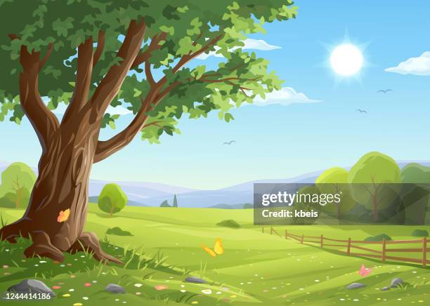 ilustraciones, imágenes clip art, dibujos animados e iconos de stock de viejo árbol en el paisaje idílico - tree forest flowers