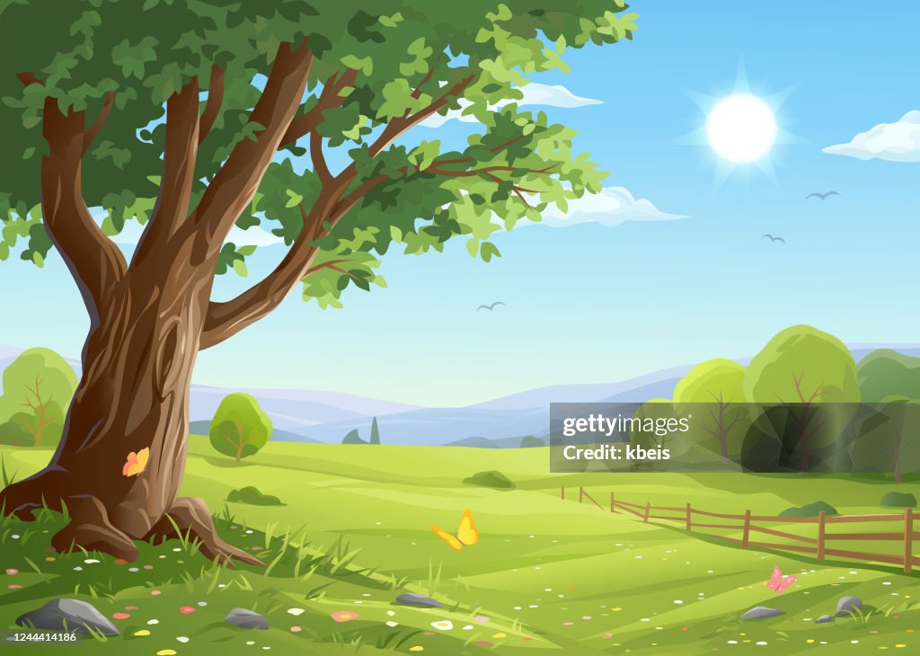 Old Tree In Idyllic Landscape