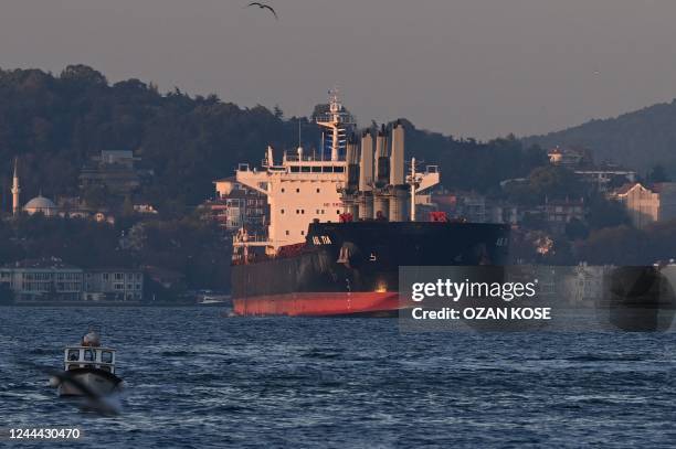 Asl Tia, a cargo vessel carrying Ukrainian grain, sails on Bosphorus to Marmara sea, in Istanbul, on November 2, 2022. - President Recep Tayyip...