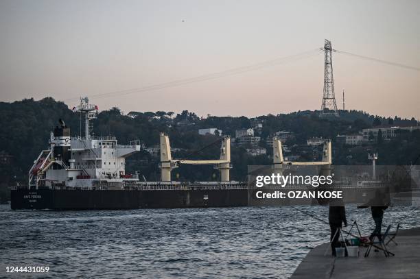 Kavo Perdika, a cargo vessel carrying Ukrainian grain, sails on Bosphorus to Marmara sea, in Istanbul, on November 2, 2022. - President Recep Tayyip...