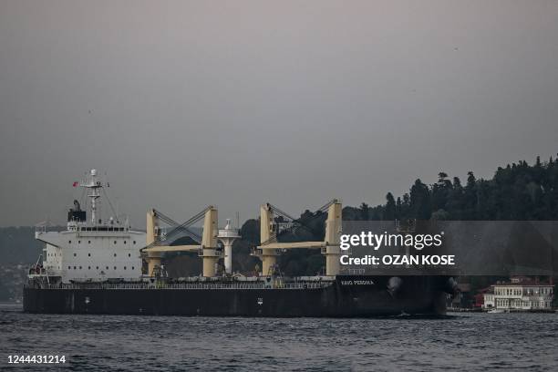 Kavo Perdika, a cargo vessel carrying Ukrainian grain, sails on Bosphorus to mMarmara sea, in Istanbul, on November 2, 2022. - President Recep Tayyip...