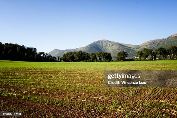 The drought continues in Campania and throughout Italy, due to the lack of rain, causing damage to agriculture, to the farms and to the local and...