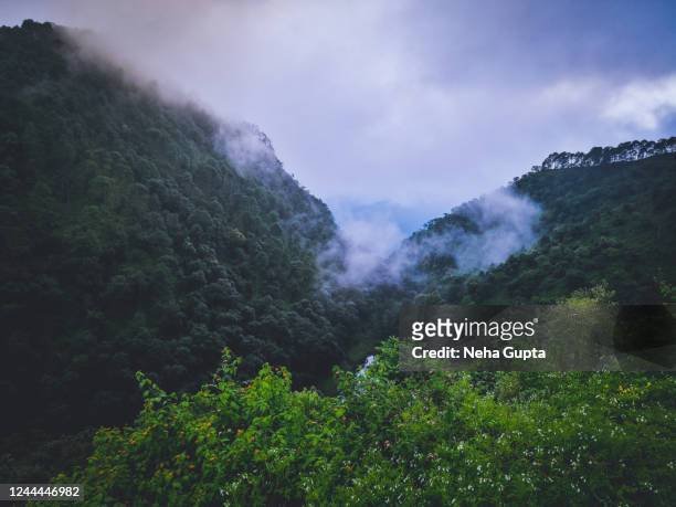 aerial view of a mountain valley. central himalayan subtropical pine & oak forest. nainital, uttrakhand, india - subtropical climate stock-fotos und bilder