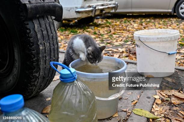 Cat drinks water from a bucket that is being delivered by a farmer to local residents as the urban-type settlement close to the front line has had no...