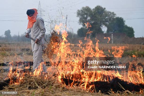 Farmer burns straw stubble after a harvest in a paddy field on the outskirts of Amritsar on November 3, 2022. The burning of rice paddies after...