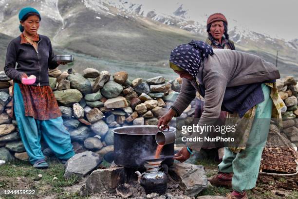 Ladakhi women making locally-brewed alcohol deep in the mountains in Zanskar, Ladakh, Jammu and Kashmir, India. Many homes in this remote region brew...