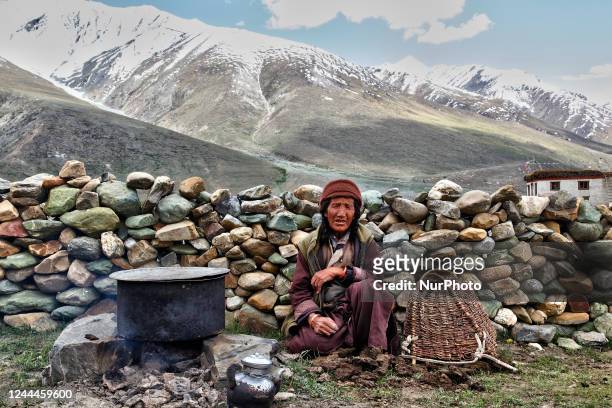 Elderly Ladakhi woman sits by a large pot containing locally-brewed alcohol deep in the mountains in Zanskar, Ladakh, Jammu and Kashmir, India. Many...