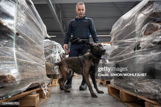 Dutch custom police officer use a sniffer dog to check merchandise during a demonstration of searching of illegal goods in Rotterdams harbour, on...