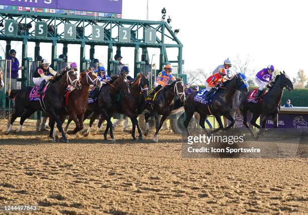 Horses break from the gate in the Breeders Cup Juvenile on November 4 at Keeneland in Lexington, KY.