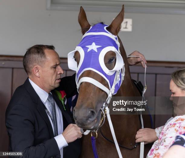 Champions Stakes Day at Flemington Racecourse on November 05, 2022 in Flemington, Australia. Chris Waller prepares Agnelli in the stalls.