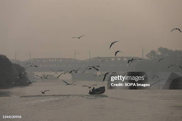 Seagulls fly near the banks of the Yamuna River amid heavy smog at India Gate in New Delhi Delhi's air quality remains "severe", accounting for 30...