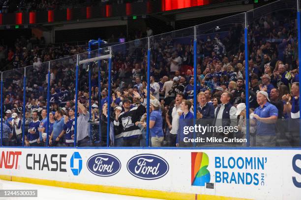 Fans of the Tampa Bay Lightning celebrate a goal against the Buffalo Sabres during the first period at Amalie Arena on November 5, 2022 in Tampa,...