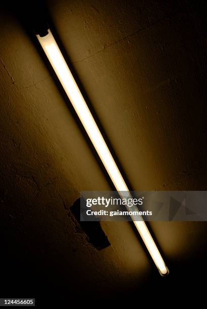 neon ceiling - fluorescent light stock pictures, royalty-free photos & images