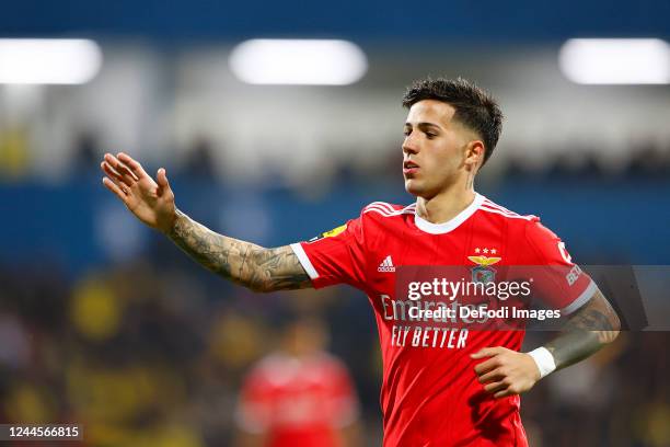 Enzo Fernandez of SL Benfica gestures during the Liga Portugal Bwin match between GD Estoril and SL Benfica at Estadio Antonio Coimbra da Mota on...