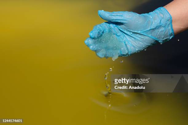 Worker takes lithium brine at the mine in the Atacama Desert in Salar de Atacama, Chile on October 25, 2022. The Chemical and Mining Society of Chile...
