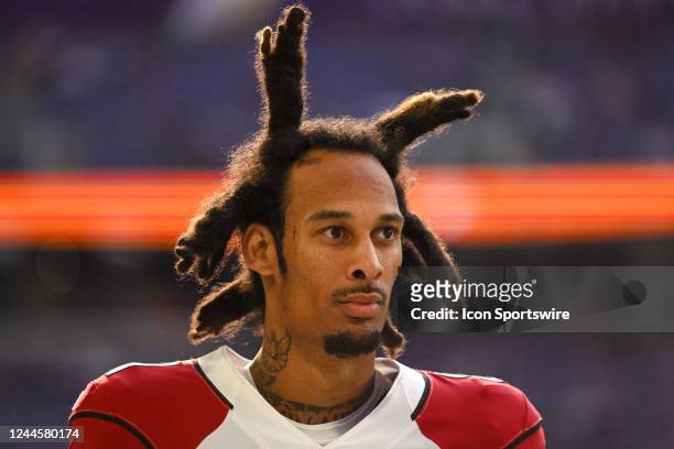 Arizona Cardinals wide receiver Robbie Anderson looks on during a game between the Minnesota Vikings and Arizona Cardinals on October 30 at U.S. Bank...