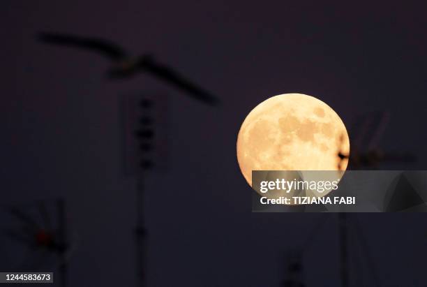 September Moon Rome Moonlight Over Rome Photos and Premium High Res Pictures - Getty Images