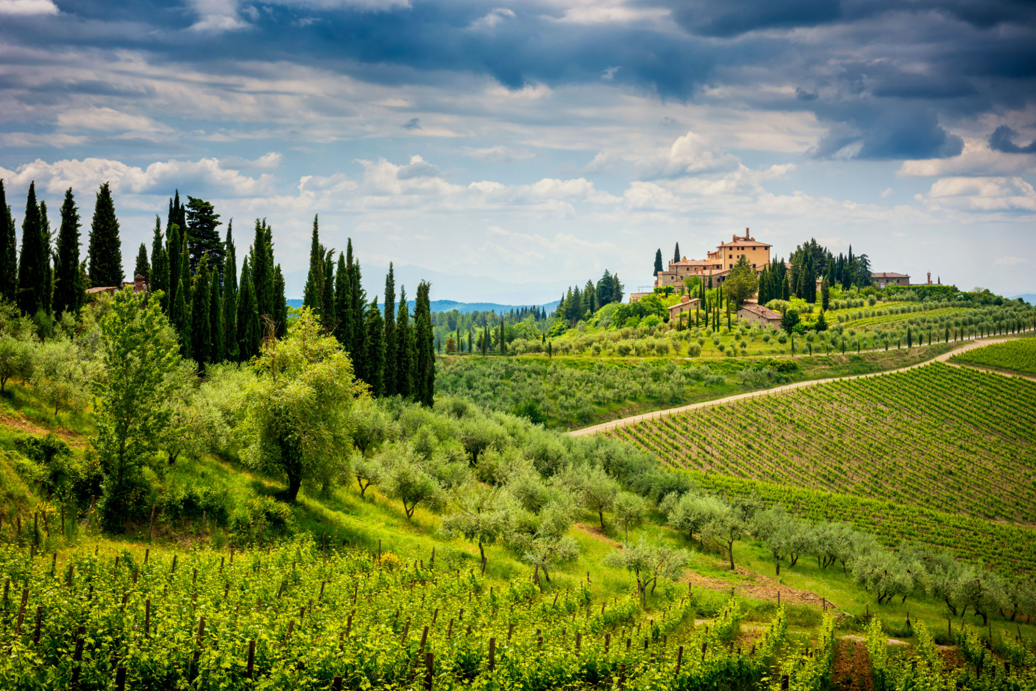 chianti wine