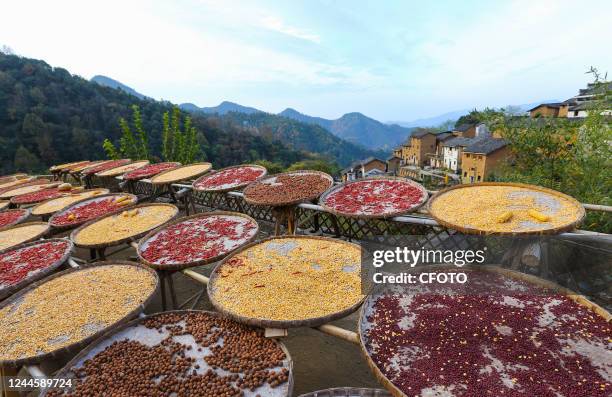 Autumn harvest grains are seen drying at Yangcheng Village in Huangshan city, Anhui province, China, Nov 6, 2022. Yangchan Village is far away from...