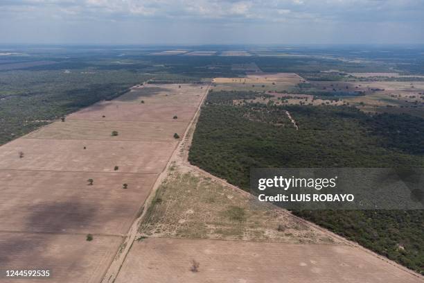 Aerial view of a deforested area on the outskirts of Juan Jose Castelli, Chaco province, Argentina, taken on October 26, 2022. - Like huge scars in...