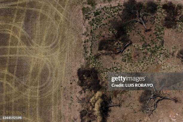 Aerial view of destroyed trees in a deforested area on the outskirts of Juan Jose Castelli, Chaco province, Argentina, taken on October 26, 2022. -...