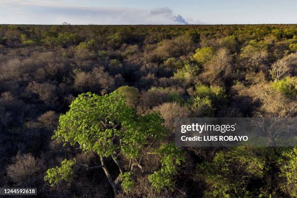 Aerial view of El Impenetrable National Park in Paraje La Armonia, Chaco province, Argentina, taken on October 27, 2022. - Like huge scars in the...