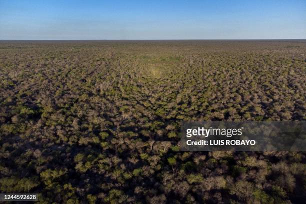 Aerial view of El Impenetrable National Park in Paraje La Armonia, Chaco province, Argentina, taken on October 27, 2022. - Like huge scars in the...