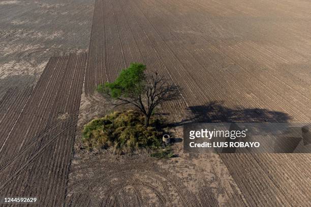 Aerial view of a deforested area on the outskirts of Juan Jose Castelli, Chaco province, Argentina, taken on October 25, 2022. - Like huge scars in...