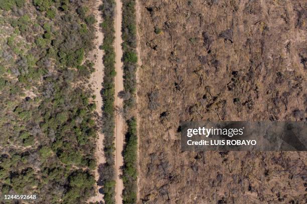 Aerial view of destroyed trees in a deforested area on the outskirts of Juan Jose Castelli, Chaco province, Argentina, taken on October 26, 2022. -...