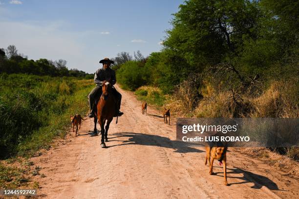 Worker rides his horse along a road on the outskirts of Juan Jose Castelli, Chaco province, Argentina, on October 25, 2022. - Like huge scars in the...