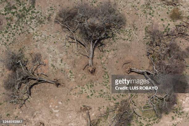 Aerial view of destroyed trees in a deforested area on the outskirts of Juan Jose Castelli, Chaco province, Argentina, taken on October 26, 2022. -...