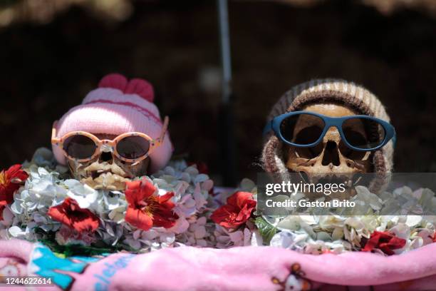 Skull are seen over a table at Central Cemetery on November 8, 2022 in La Paz, Bolivia. "Las Ñatitas" is a traditional festivity celebrated every...