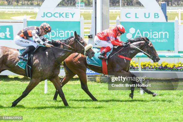 Mondo ridden by Dean Yendall wins the bet365 Protest Promise Maiden Plate at Bendigo Racecourse on November 09, 2022 in Bendigo, Australia.