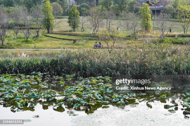 Liangping District Photos and Premium High Res Pictures Getty Images