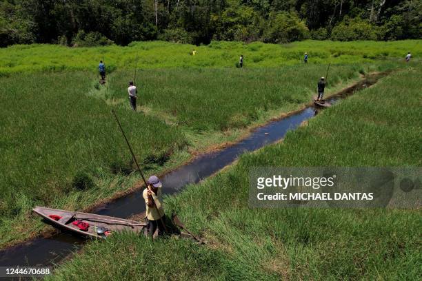 Fishermen try to catch Pirarucus at the Mamiraua Sustainable Development Reserve in Fonte Boa, Amazonas state, Brazil, on November 5, 2022. -...