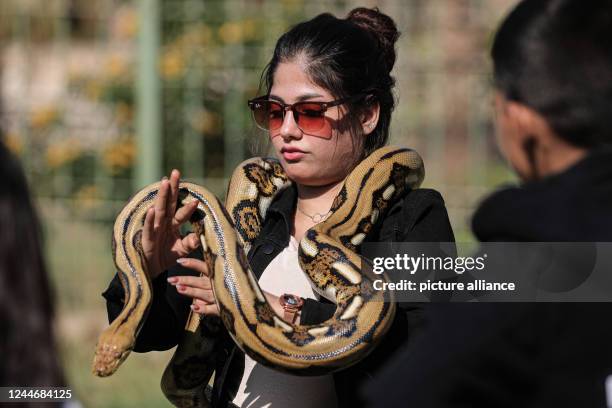 Female Snake Handler 143 Snakes In Zoo With Handler Stock Photos, High-Res Pictures, and ...